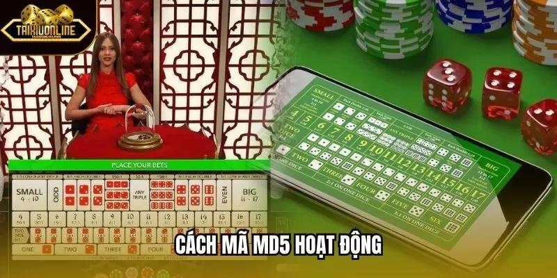 Cách mã MD5 hoạt động