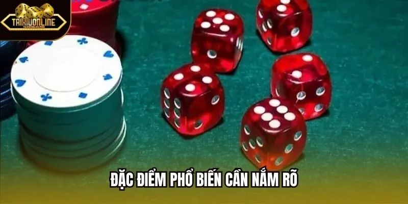 Đặc điểm phổ biến cần nắm rõ